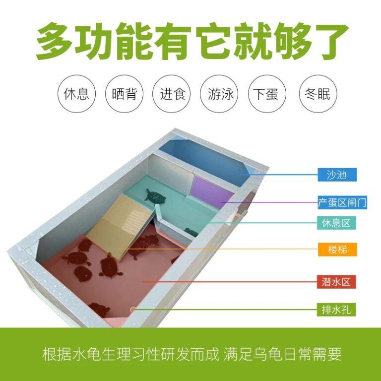 乌龟蛋生在水里怎么办(乌龟为什么会在水中产蛋?)