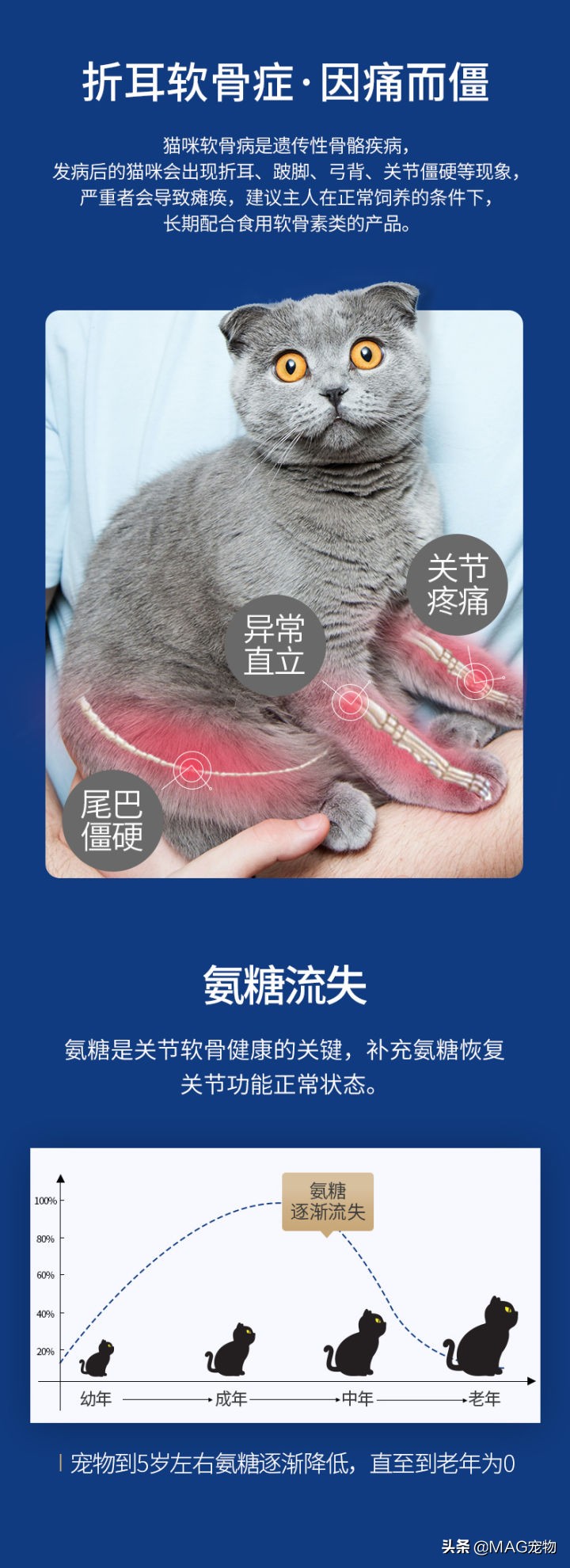 折耳猫，总是一只脚抬起，是发病了吗？怎么办？