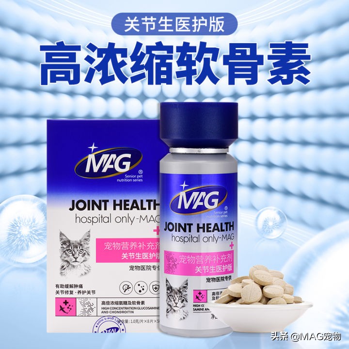折耳猫，总是一只脚抬起，是发病了吗？怎么办？