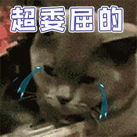 猫拉屎太臭怎么办？做好这3点有效改善，亲测有效的除臭妙招