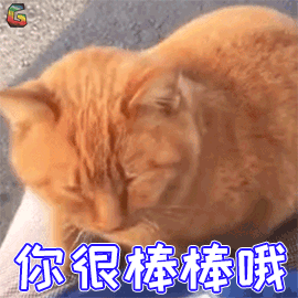 猫拉屎太臭怎么办？做好这3点有效改善，亲测有效的除臭妙招