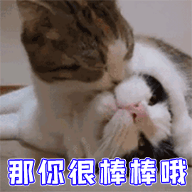 猫拉屎太臭怎么办？做好这3点有效改善，亲测有效的除臭妙招