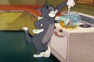 《猫和老鼠》中汤姆猫原来是这个品种！满满的回忆~