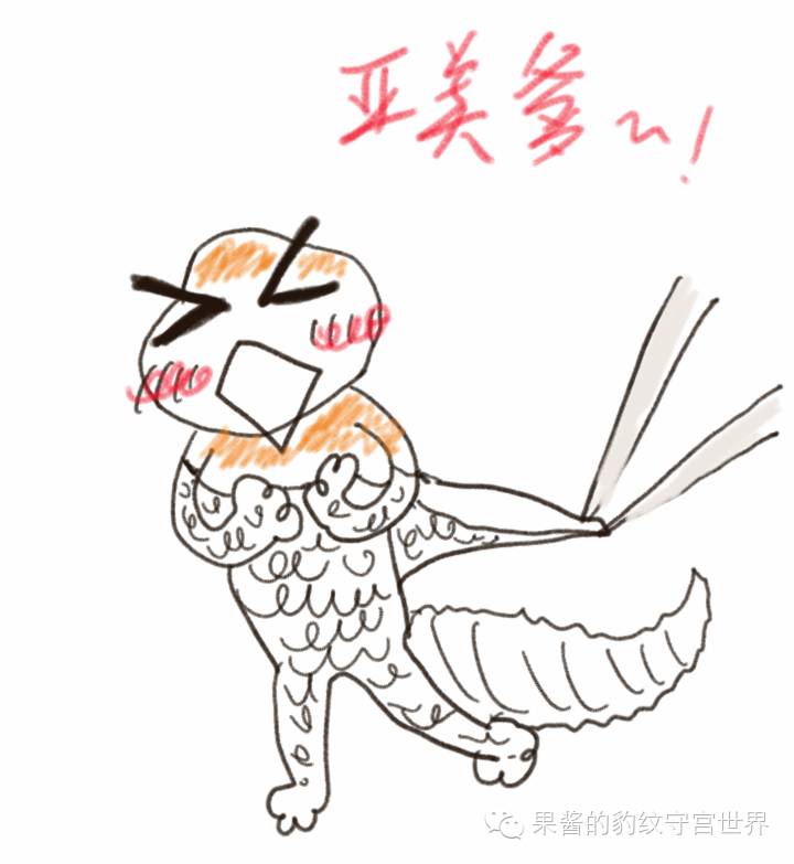 豹纹守宫蜕皮需要注意什么(豹纹守宫蜕皮不畅简单处理)