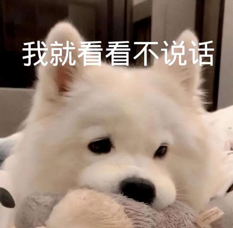 这两种狗严重撞脸，傻傻分不清楚
