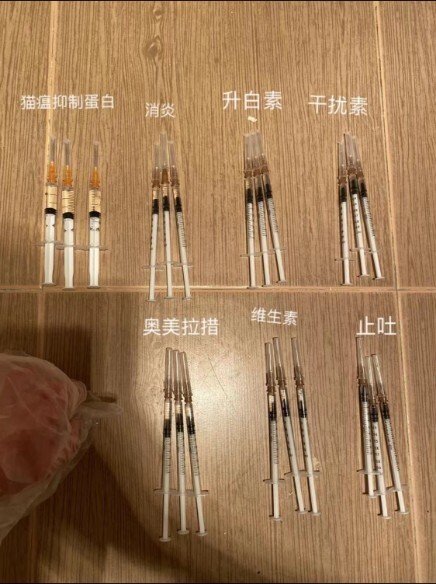 猫瘟（细小病毒FPV）全面解读，含猫细小致病机理与常见问题解惑