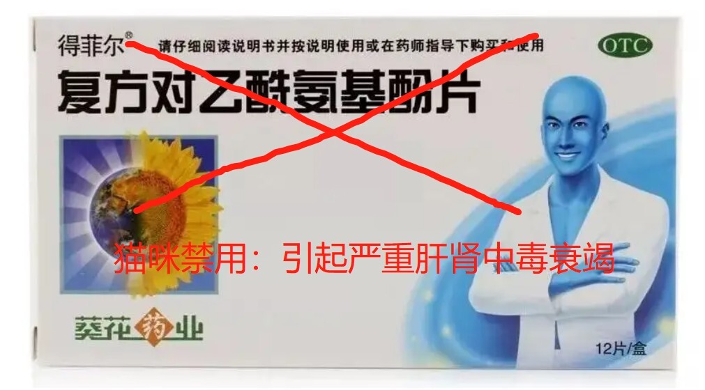 猫瘟（细小病毒FPV）全面解读，含猫细小致病机理与常见问题解惑