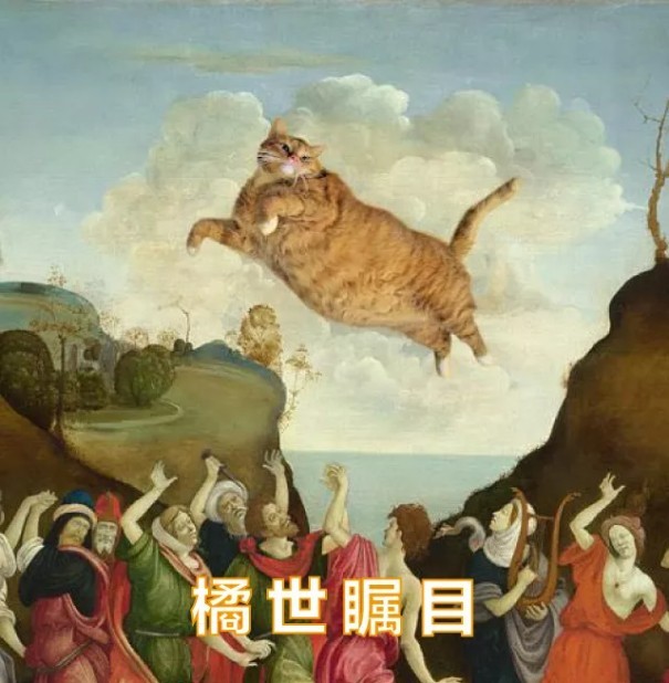 橘猫（狸花猫）——色彩、纹理与寓意的奇妙融合