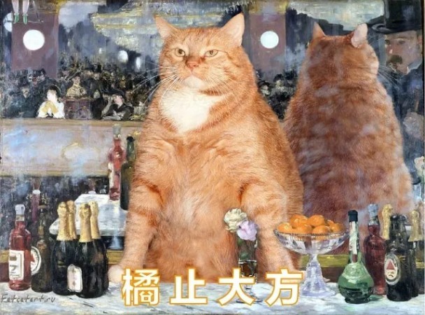 橘猫（狸花猫）——色彩、纹理与寓意的奇妙融合
