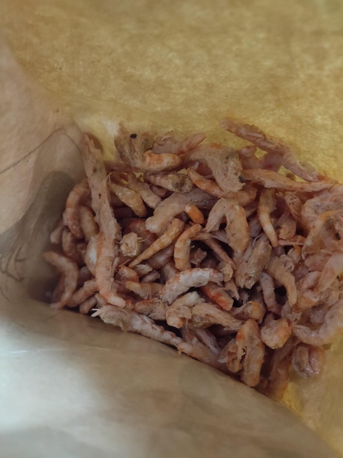 地图鱼吃什么鱼食?6 中喂食方法解析