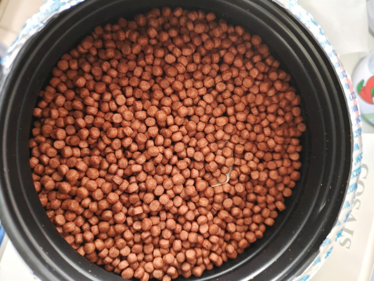 地图鱼吃什么鱼食?6 中喂食方法解析