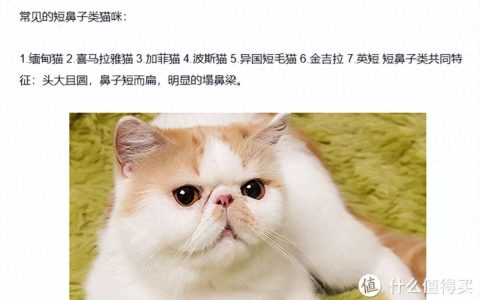 宠物航空托运全攻略整理，避免踩坑！