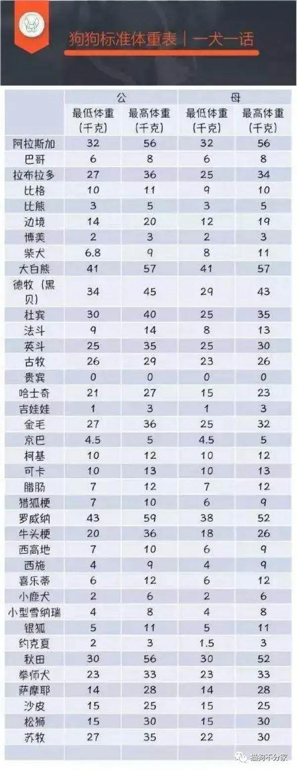 狗狗的标准体重是多少？肥胖狗狗正确减肥方法