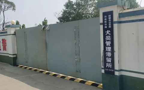 这狗