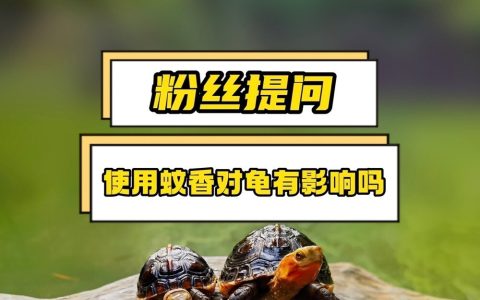 杀虫剂