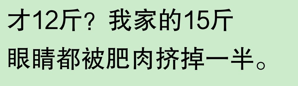 为啥大家不觉得自己养的动物胖?网友:宠物胖瘦,就像掌中沙,难