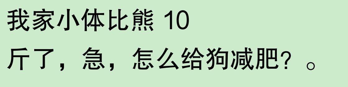 为啥大家不觉得自己养的动物胖?网友:宠物胖瘦,就像掌中沙,难