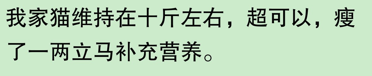 为啥大家不觉得自己养的动物胖?网友:宠物胖瘦,就像掌中沙,难