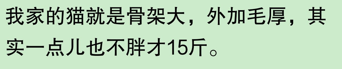 为啥大家不觉得自己养的动物胖?网友:宠物胖瘦,就像掌中沙,难