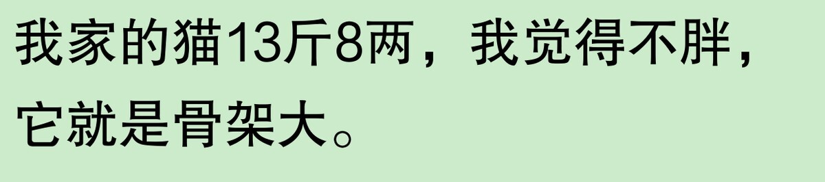 为啥大家不觉得自己养的动物胖?网友:宠物胖瘦,就像掌中沙,难
