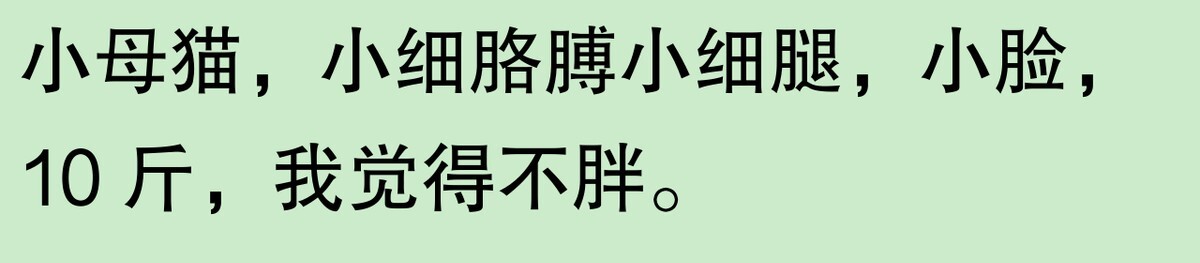 为啥大家不觉得自己养的动物胖?网友:宠物胖瘦,就像掌中沙,难