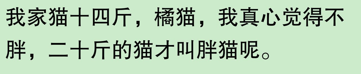 为啥大家不觉得自己养的动物胖?网友:宠物胖瘦,就像掌中沙,难