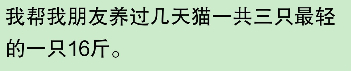 为啥大家不觉得自己养的动物胖?网友:宠物胖瘦,就像掌中沙,难
