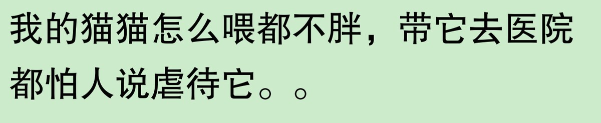 为啥大家不觉得自己养的动物胖?网友:宠物胖瘦,就像掌中沙,难