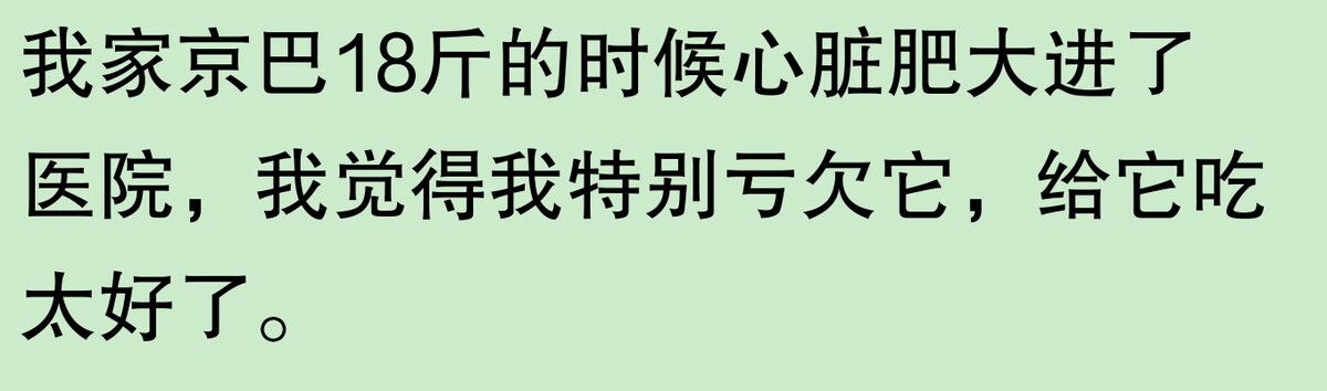 为啥大家不觉得自己养的动物胖?网友:宠物胖瘦,就像掌中沙,难