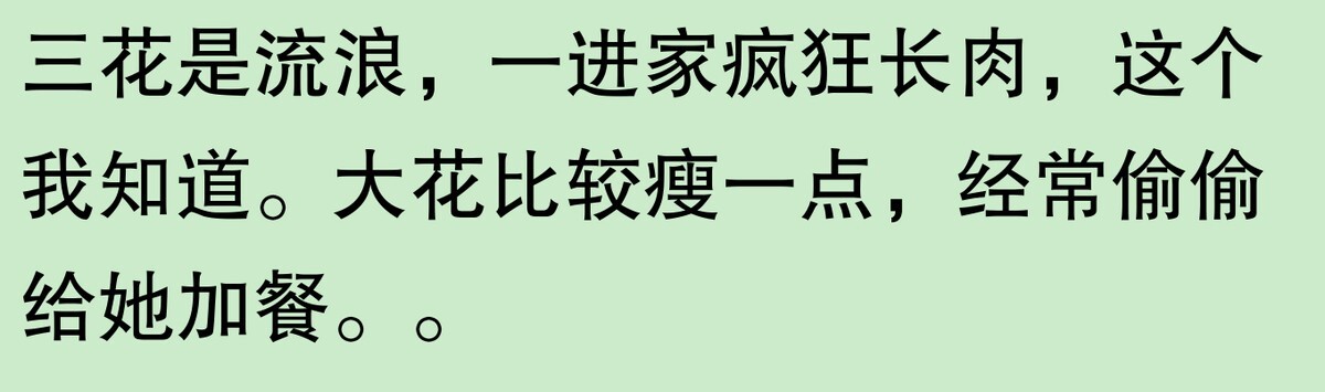 为啥大家不觉得自己养的动物胖?网友:宠物胖瘦,就像掌中沙,难