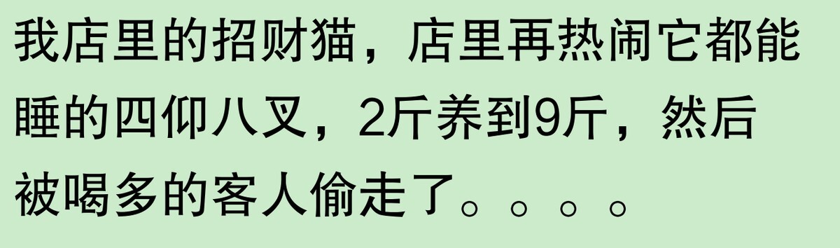 为啥大家不觉得自己养的动物胖?网友:宠物胖瘦,就像掌中沙,难