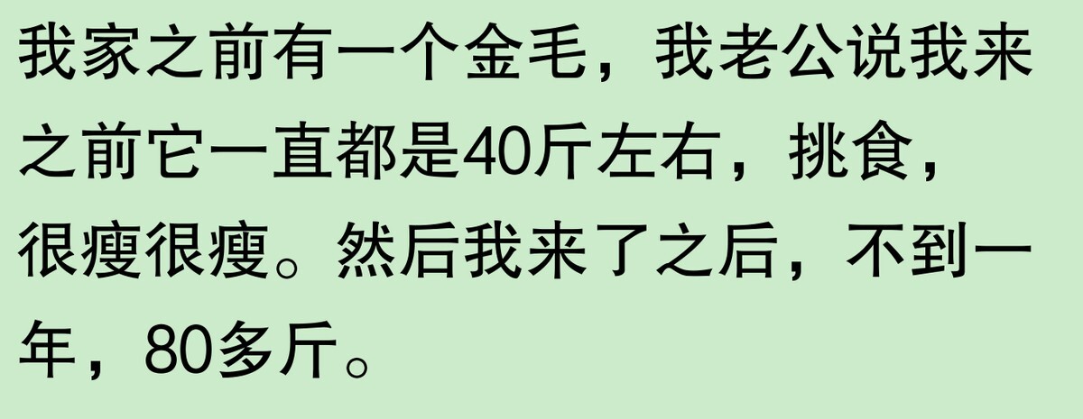 为啥大家不觉得自己养的动物胖?网友:宠物胖瘦,就像掌中沙,难