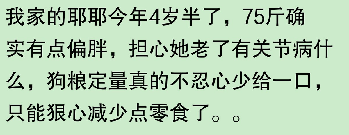 为啥大家不觉得自己养的动物胖?网友:宠物胖瘦,就像掌中沙,难