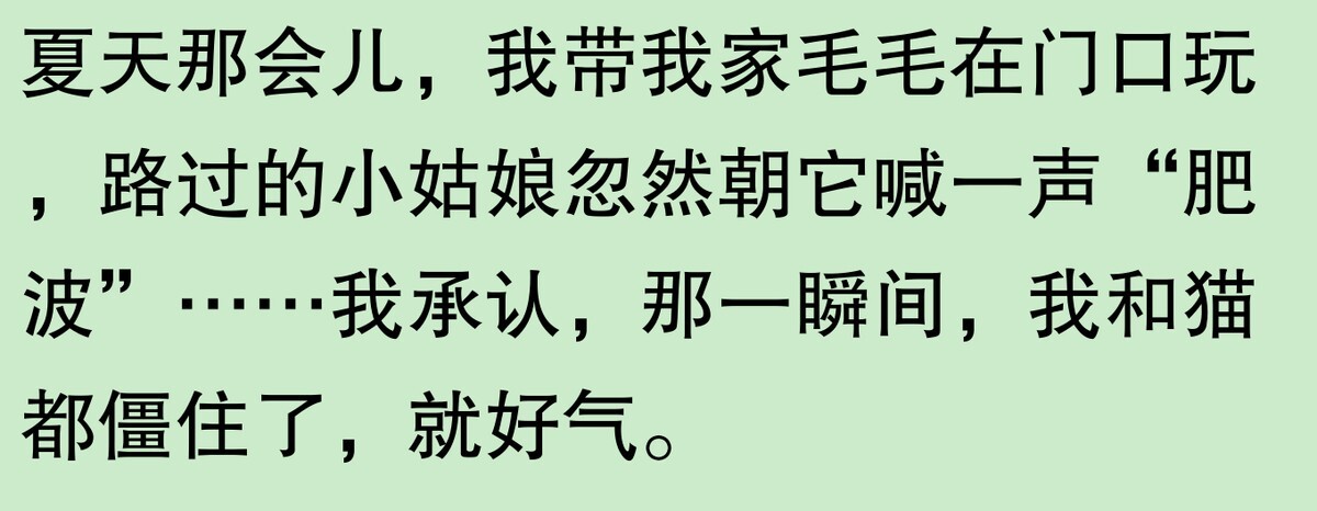 为啥大家不觉得自己养的动物胖?网友:宠物胖瘦,就像掌中沙,难