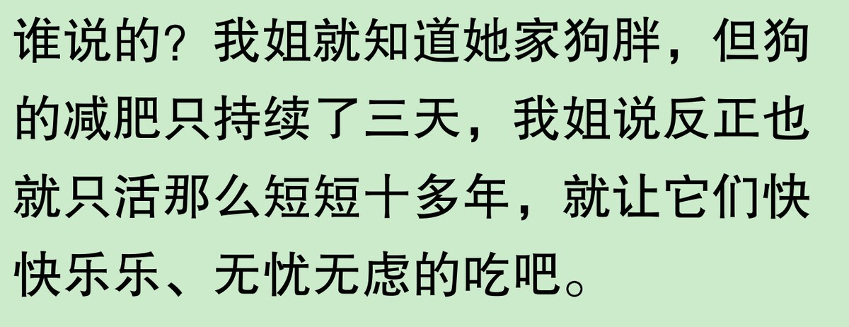 为啥大家不觉得自己养的动物胖?网友:宠物胖瘦,就像掌中沙,难