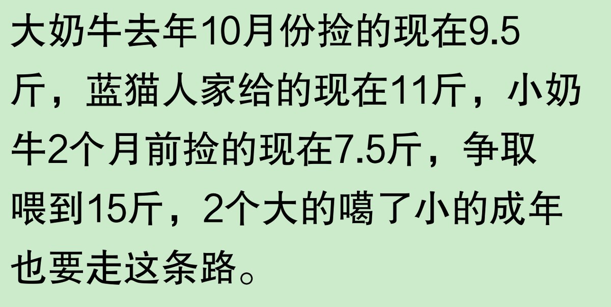 为啥大家不觉得自己养的动物胖?网友:宠物胖瘦,就像掌中沙,难
