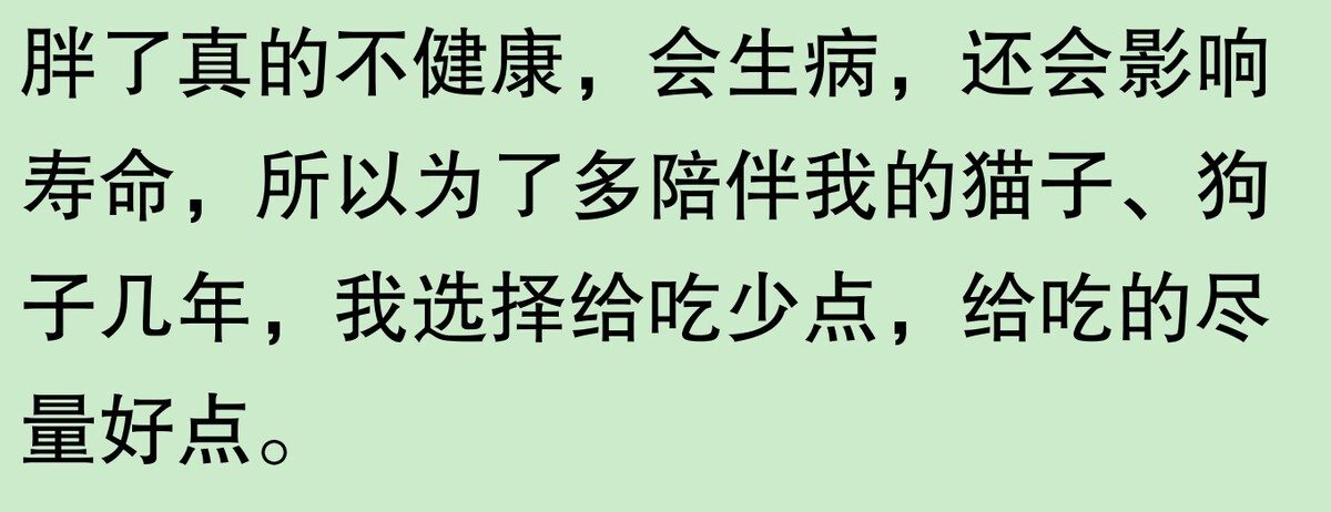 为啥大家不觉得自己养的动物胖?网友:宠物胖瘦,就像掌中沙,难