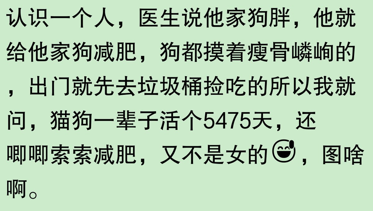为啥大家不觉得自己养的动物胖?网友:宠物胖瘦,就像掌中沙,难
