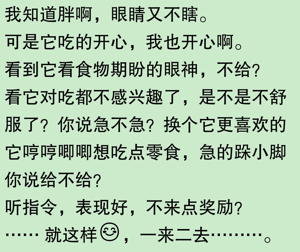 为啥大家不觉得自己养的动物胖?网友:宠物胖瘦,就像掌中沙,难