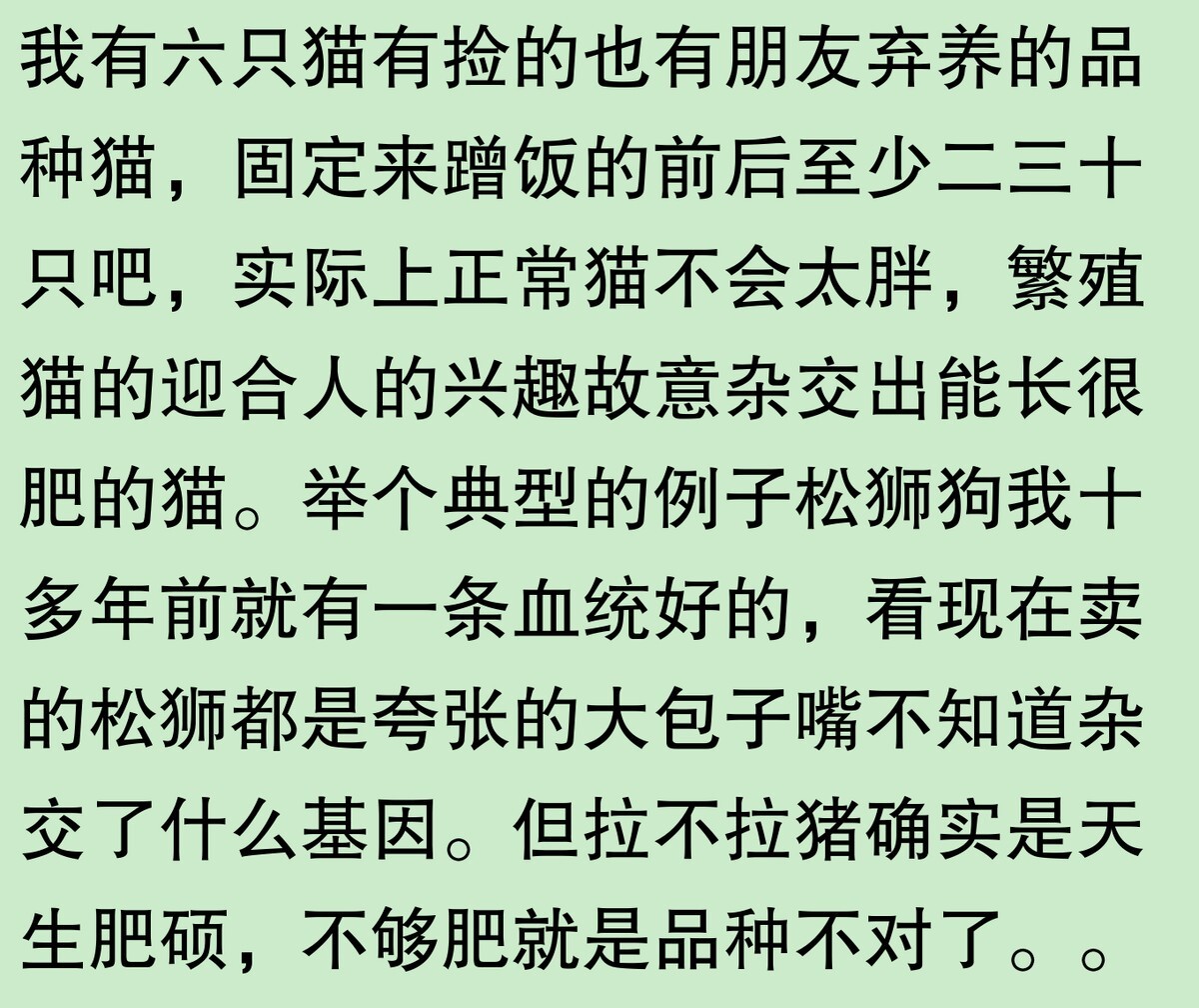 为啥大家不觉得自己养的动物胖?网友:宠物胖瘦,就像掌中沙,难