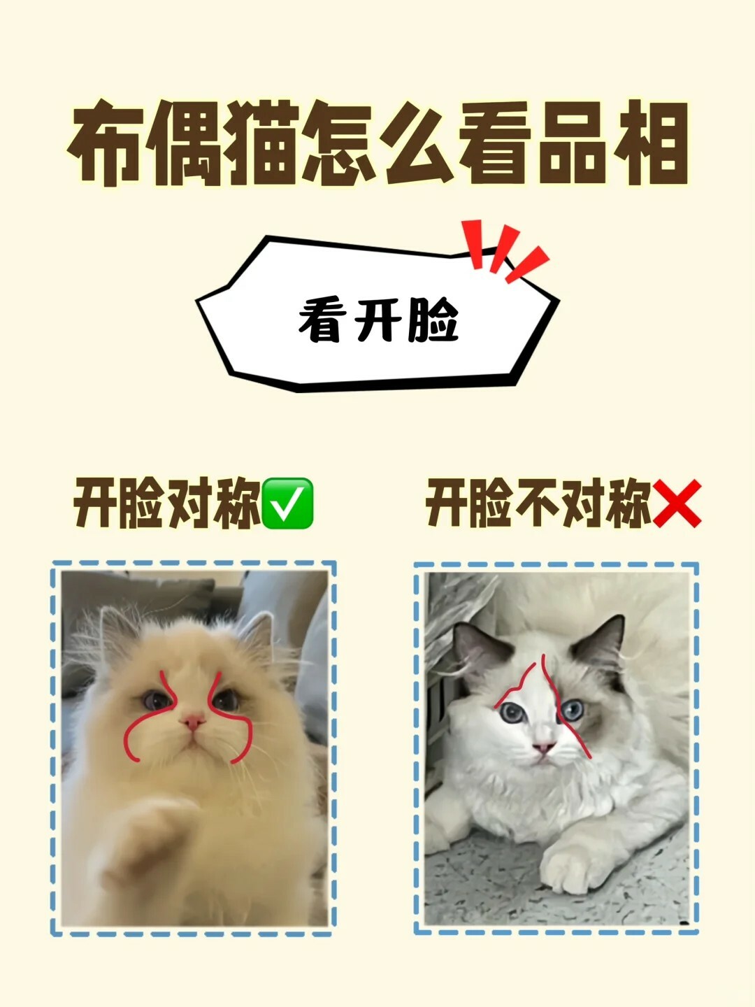 色块